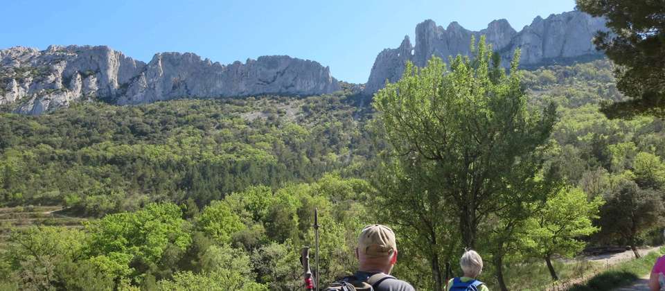 Walking In Van Gogh's Provence - Walkers' Britain - France - Image 2