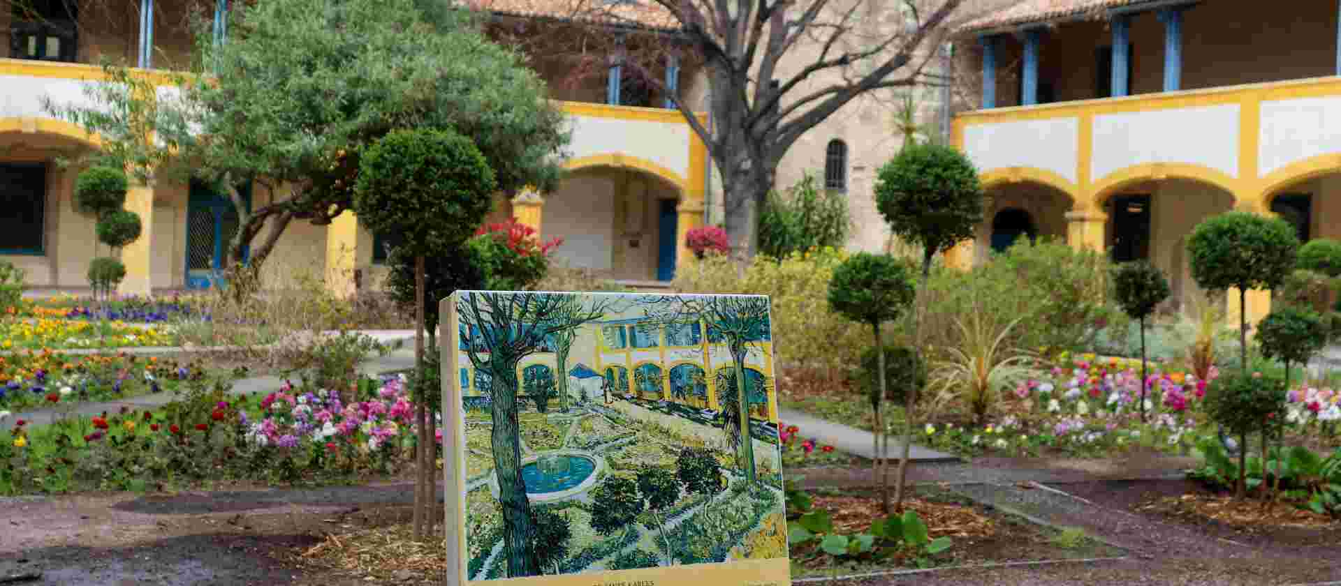 Walking In Van Gogh's Provence