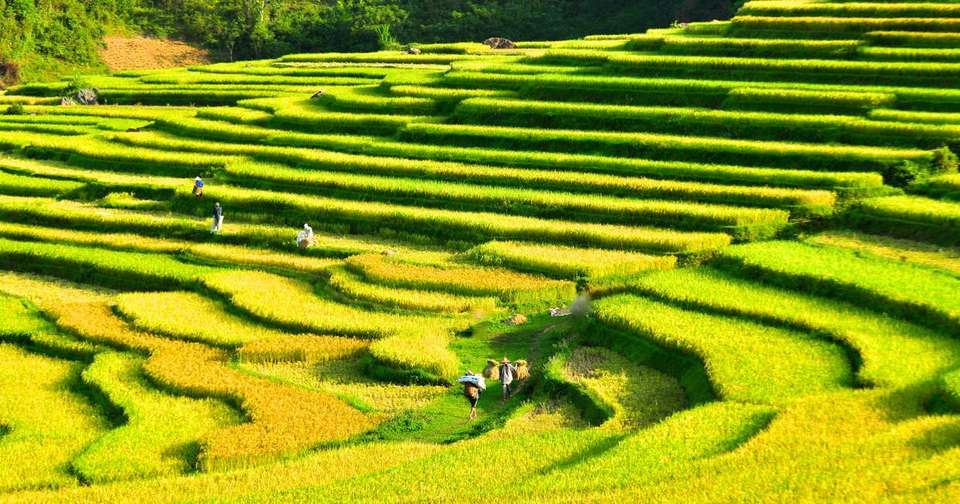 Walking in Vietnam - Explore - Vietnam - Image 5