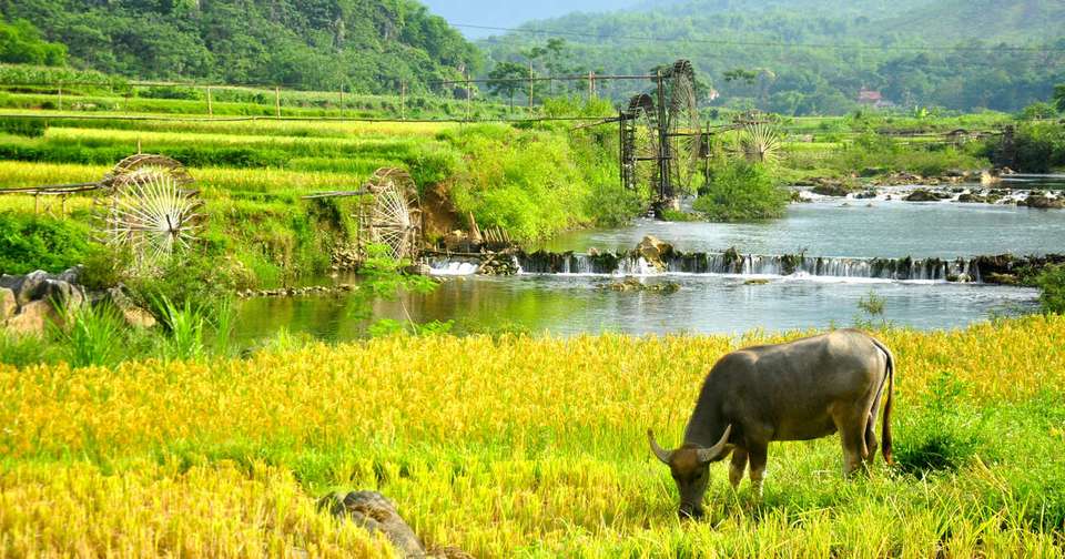 Walking in Vietnam - Explore - Vietnam - Image 8