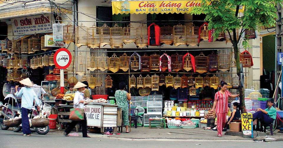 Walking in Vietnam - Explore - Vietnam - Image 13