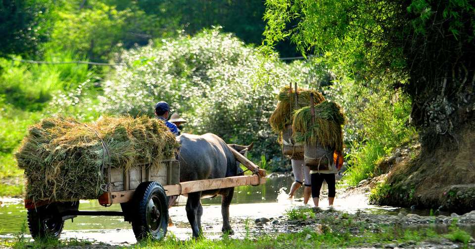 Walking in Vietnam - Explore - Vietnam - Image 14