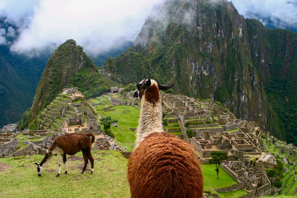 Walking Machu Picchu - With Private Guide - undefined - Image 14