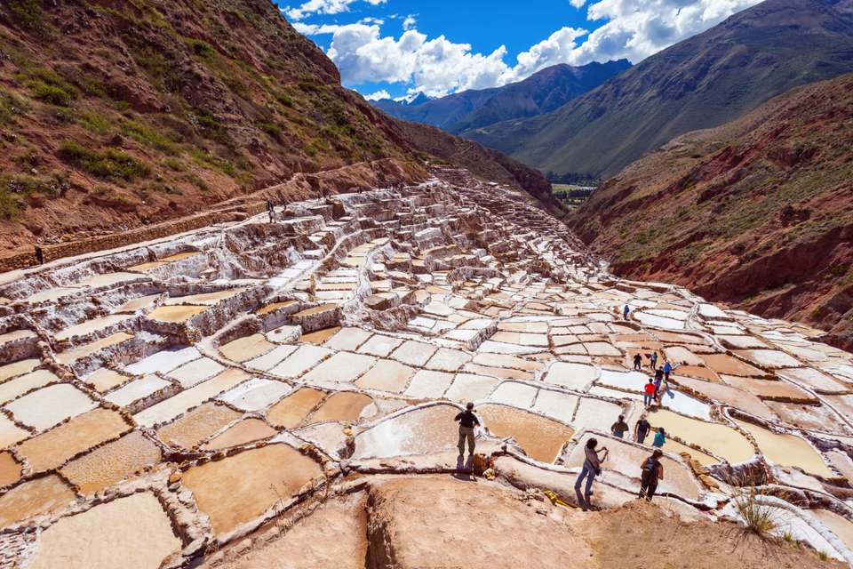 Walking Machu Picchu - With Private Guide - undefined - Image 8