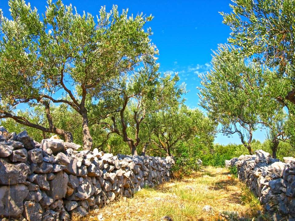 Walking North Croatia's Islands & Lakes - Exodus Adventure Travels - Croatia - Image 21