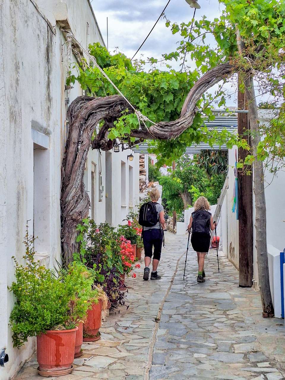 Walking on the Greek Islands - Exodus Adventure Travels - Greece - Image 20
