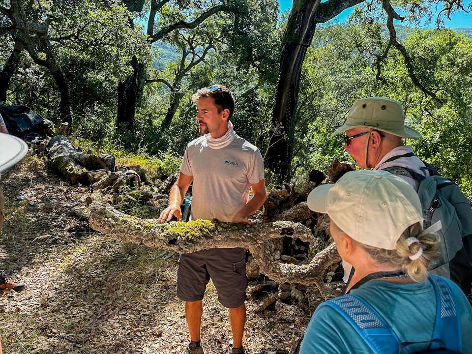 Walking Portugal's Wild Algarve - Exodus Adventure Travels - Portugal - Image 19