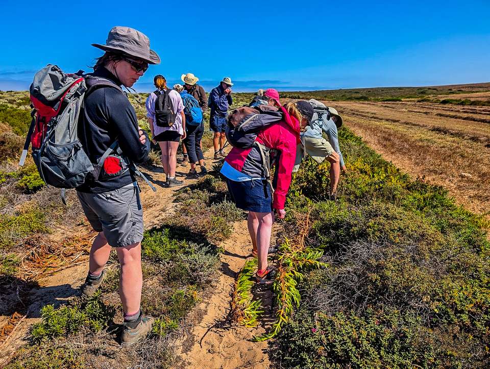 Walking Portugal's Wild Algarve - Exodus Adventure Travels - Portugal - Image 12