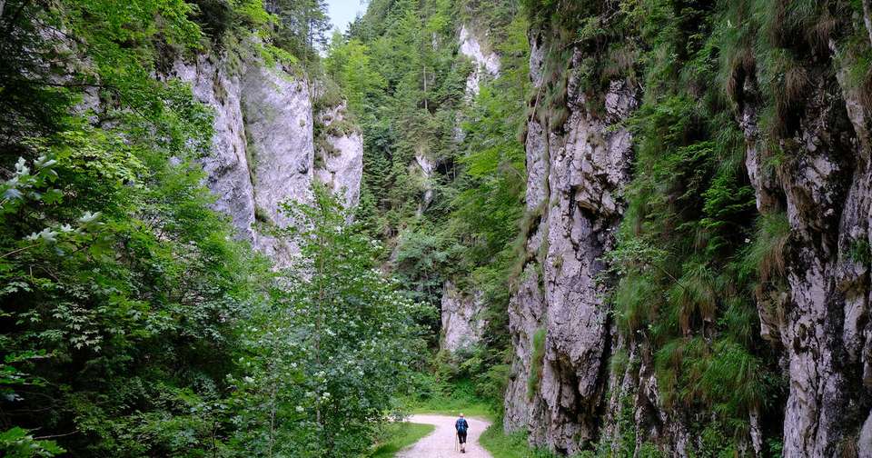 Walking Romania - Transylvanian Alps Trek - Explore - Romania - Image 10
