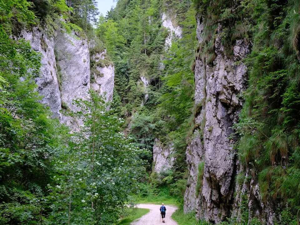 Walking Romania - Transylvanian Alps Trek - undefined - Image 10