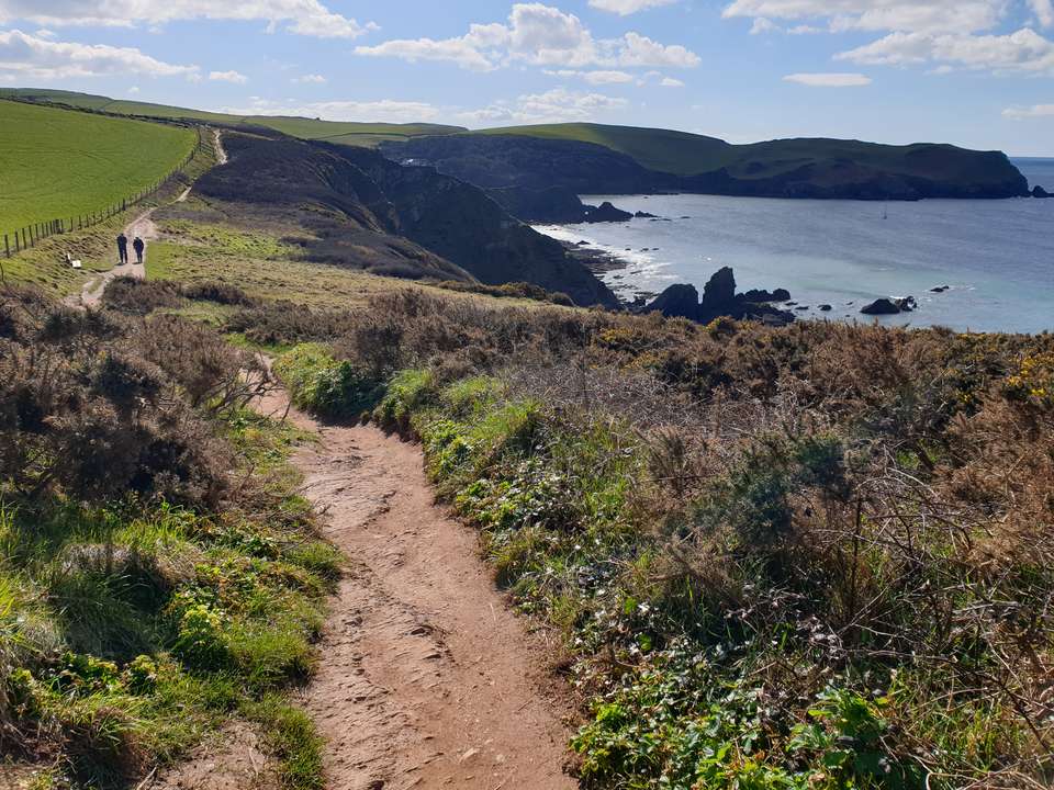 Walking South Devon's Coastal Path - undefined - Image 4