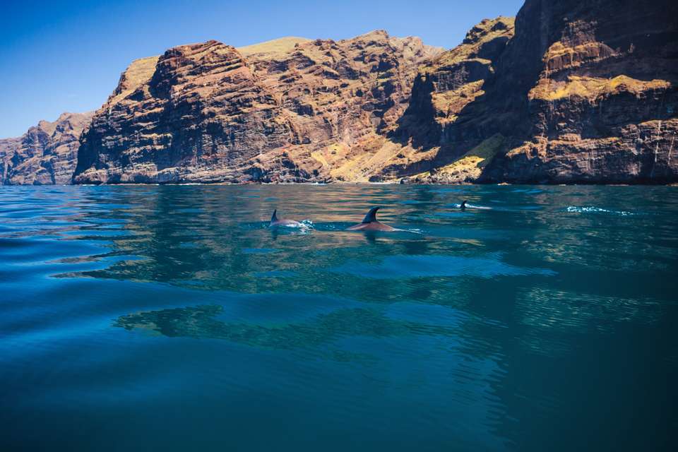 Walking Tenerife and La Gomera - Exodus Adventure Travels - Spain - Image 16