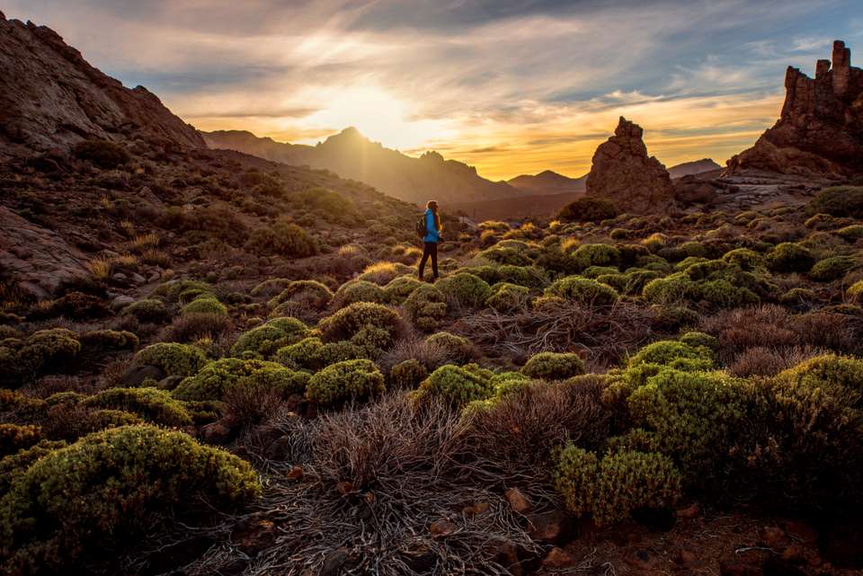 Walking Tenerife and La Gomera - Exodus Adventure Travels - Spain - Image 14