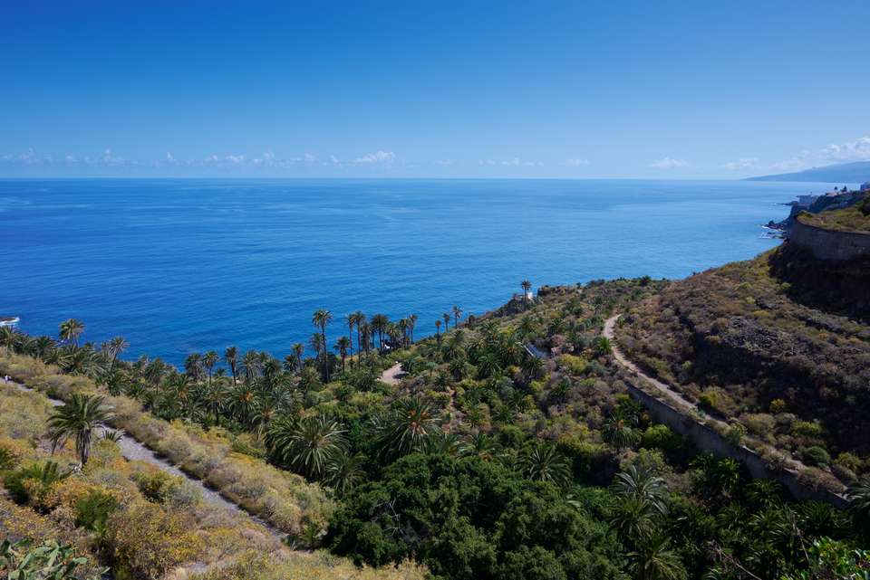 Walking Tenerife and La Gomera - Exodus Adventure Travels - Spain - Image 7