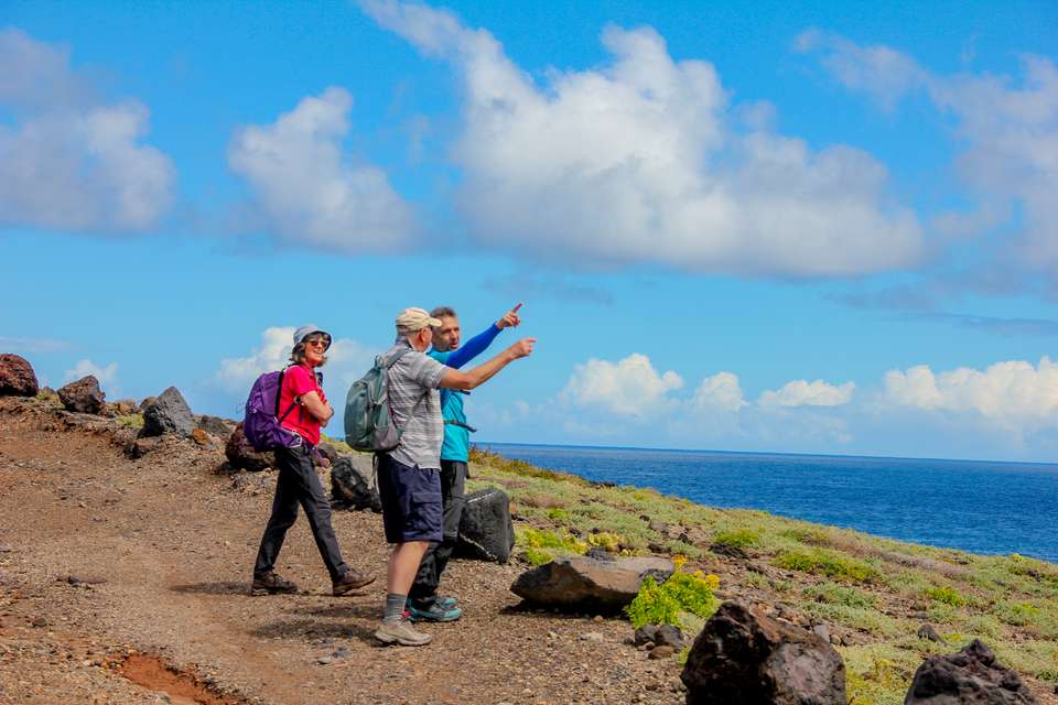 Walking Tenerife and La Gomera - undefined - Image 11