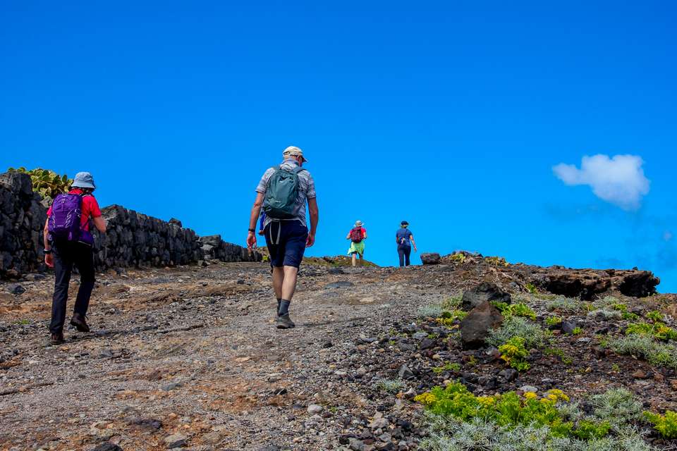 Walking Tenerife and La Gomera - undefined - Image 9