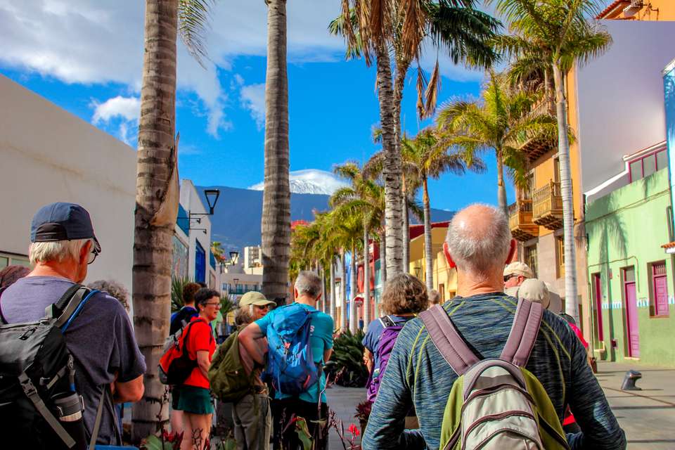 Walking Tenerife and La Gomera - undefined - Image 8