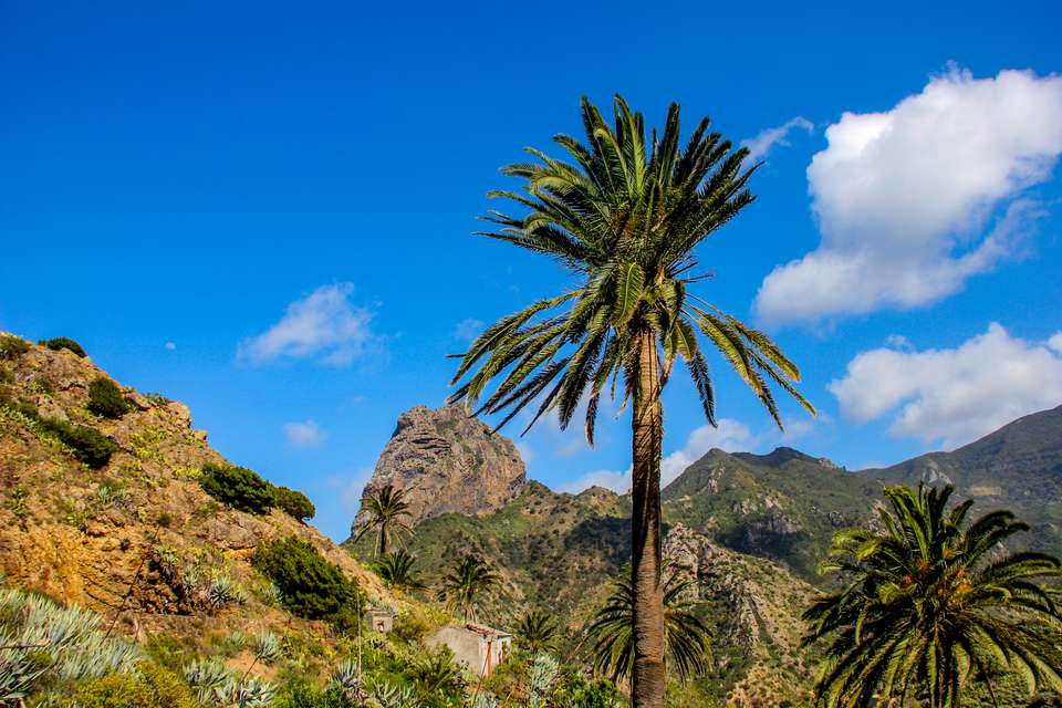 Walking Tenerife and La Gomera - undefined - Image 7