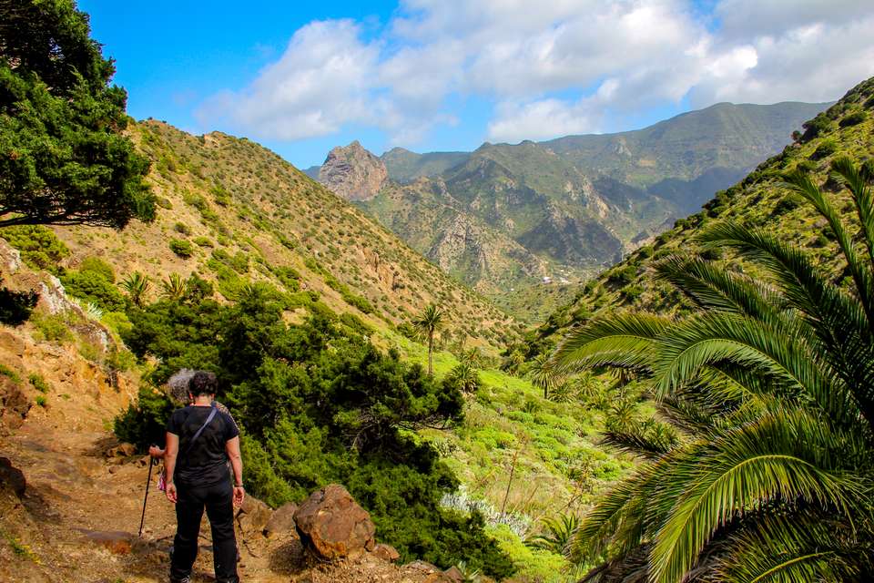 Walking Tenerife and La Gomera - undefined - Image 5