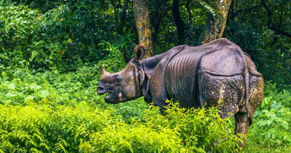 Walking the Annapurna Foothills - Explore - Nepal - Image 2