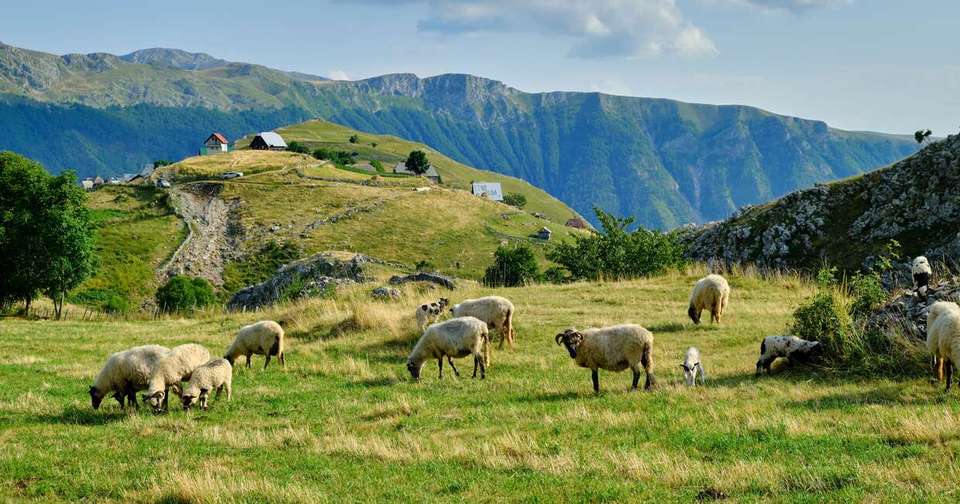 Walking the Balkans- Bosnia, Serbia & Montenegro - Explore - Bosnia Herzegovina - Image 8