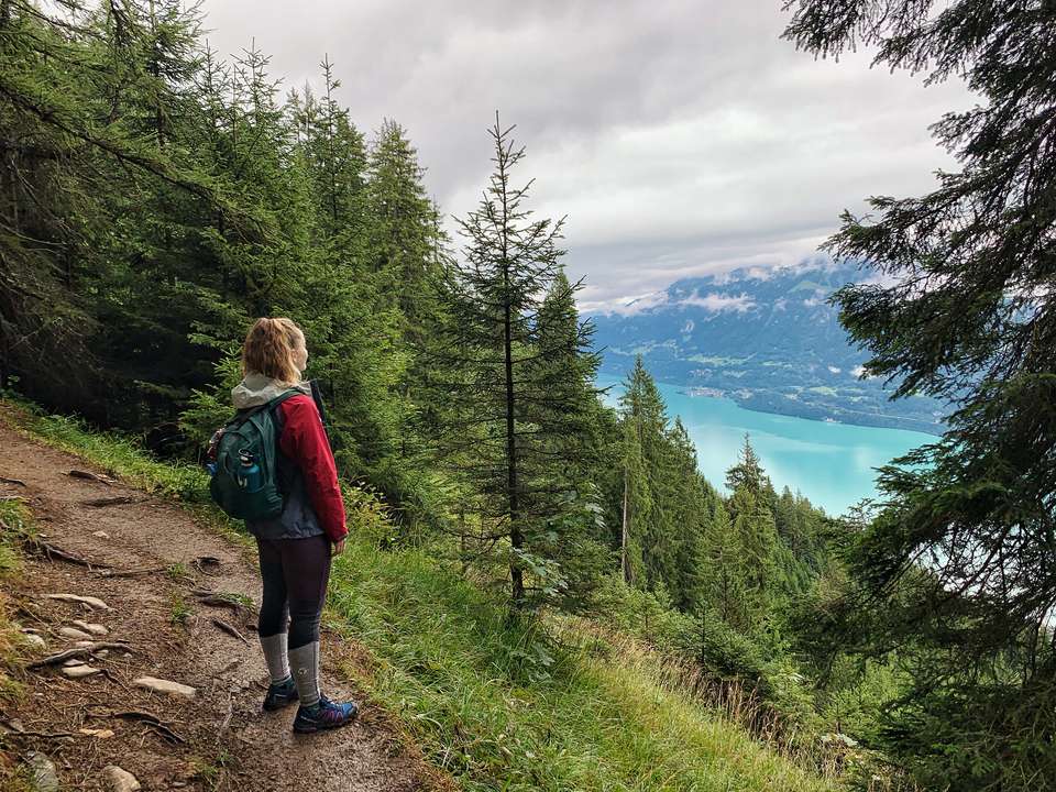 Walking the Bernese Highlights East - Exodus Adventure Travels - Switzerland - Image 5