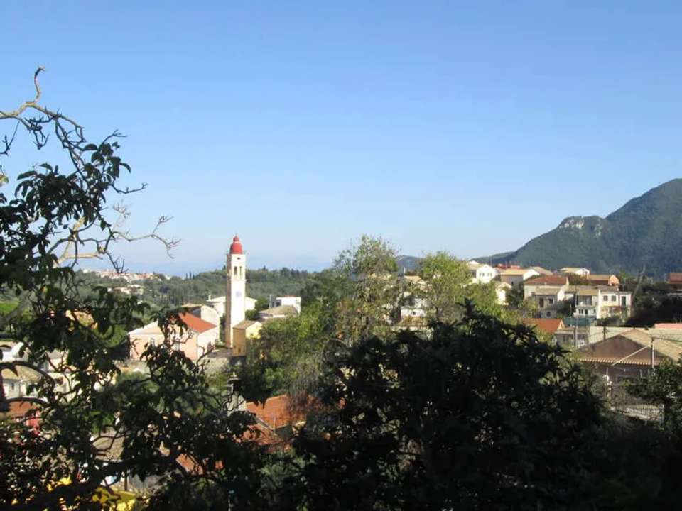 Image 11 of 19
