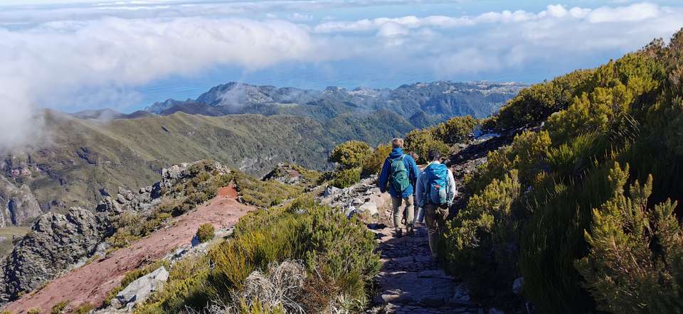 Walking the Island of Madeira - Exodus Adventure Travels - Portugal - Image 17