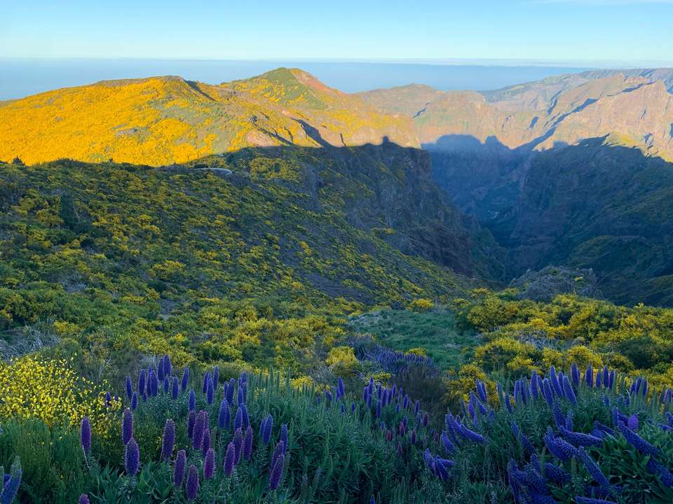 Walking the Island of Madeira - Exodus Adventure Travels - Portugal - Image 2