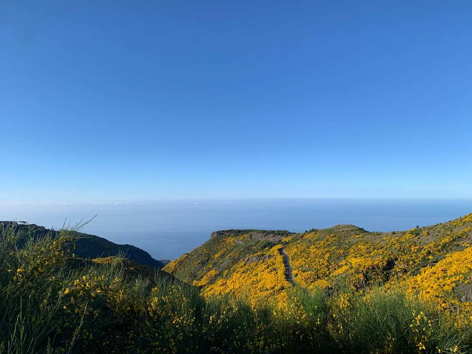 Walking the Island of Madeira - Exodus Adventure Travels - Portugal - Image 13