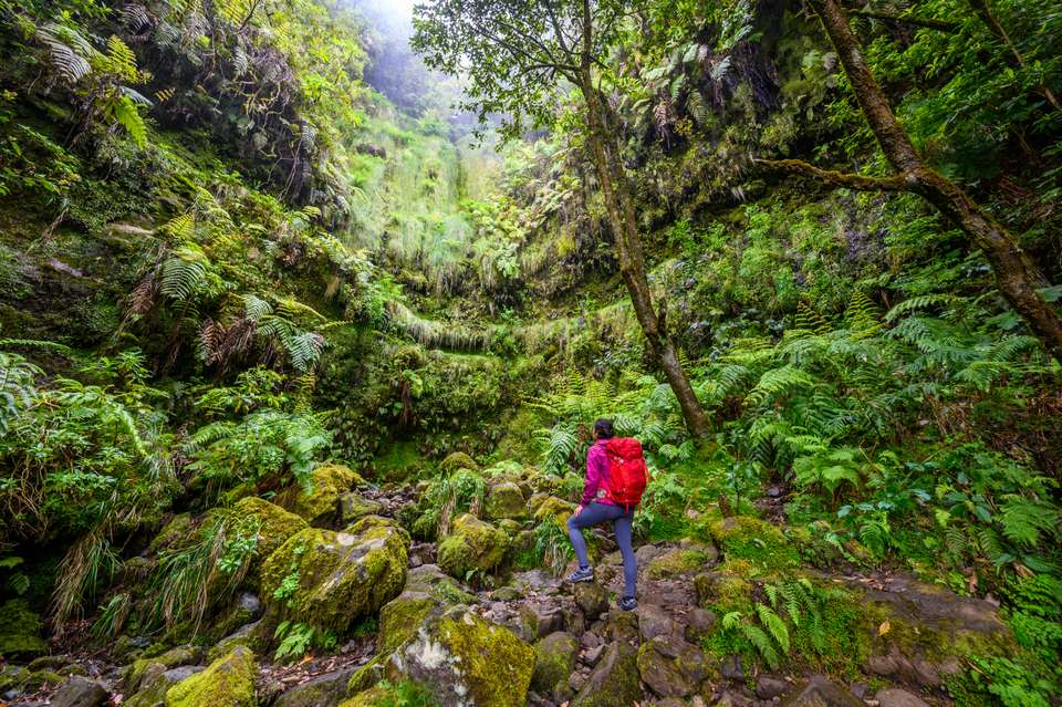 Walking the Island of Madeira - Exodus Adventure Travels - Portugal - Image 10