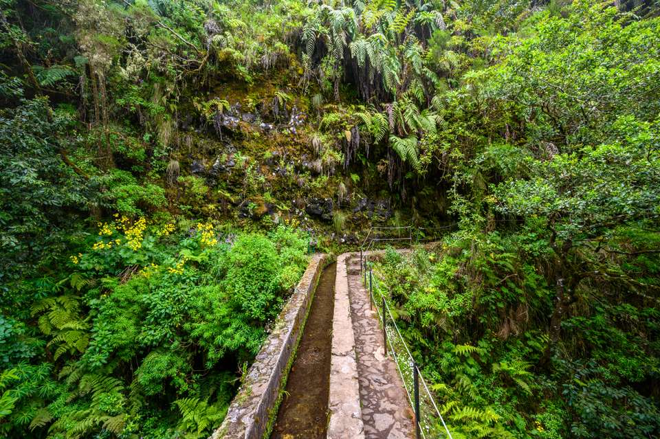 Walking the Island of Madeira - Exodus Adventure Travels - Portugal - Image 9