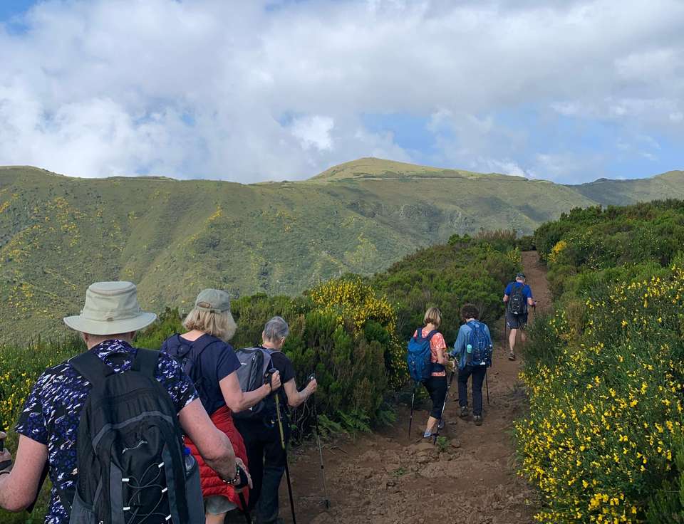 Walking the Island of Madeira - Exodus Adventure Travels - Portugal - Image 6
