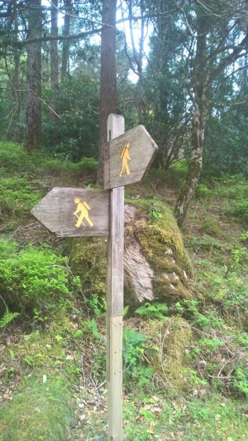 Walking the Kerry Way and Killarney National Park - Exodus Adventure Travels - Ireland - Image 7