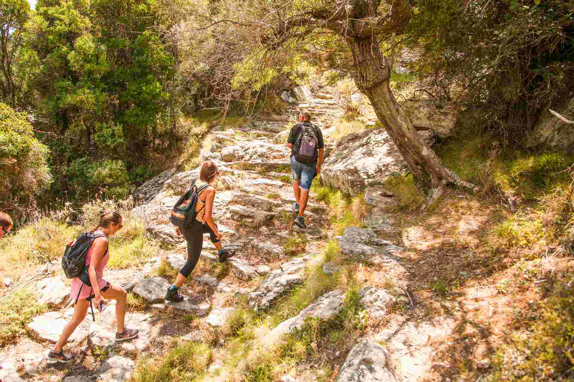 Walking the Mountains & Villages of Evia