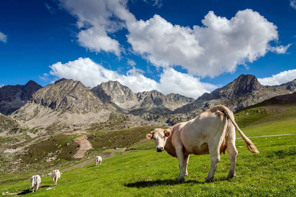 Walking the Rugged Pyrenees of Andorra - Exodus Adventure Travels - Andorra - Image 4