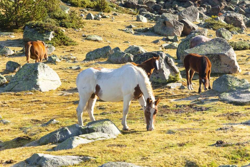 Walking the Rugged Pyrenees of Andorra - Exodus Adventure Travels - Andorra - Image 6