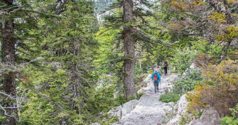 Walks and Coastal Towns of Croatia - Explore - Croatia