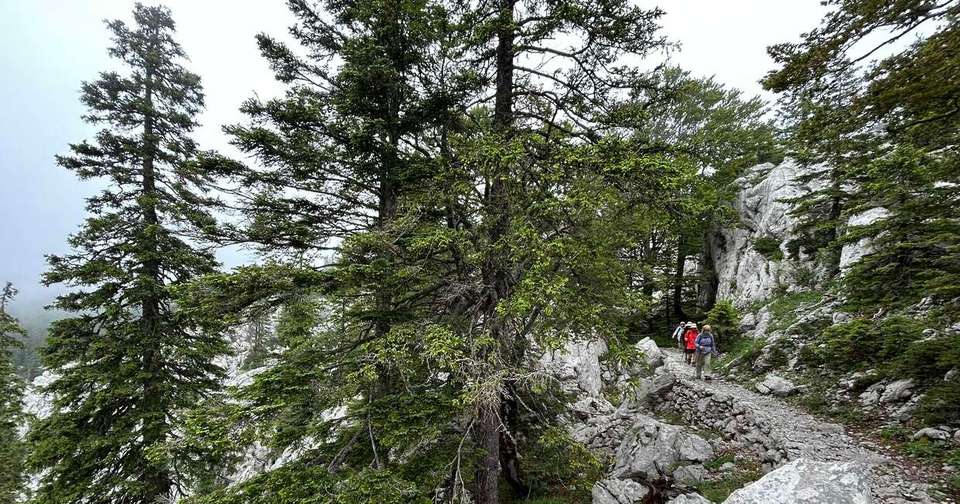 Walks and Coastal Towns of Croatia - Explore - Croatia