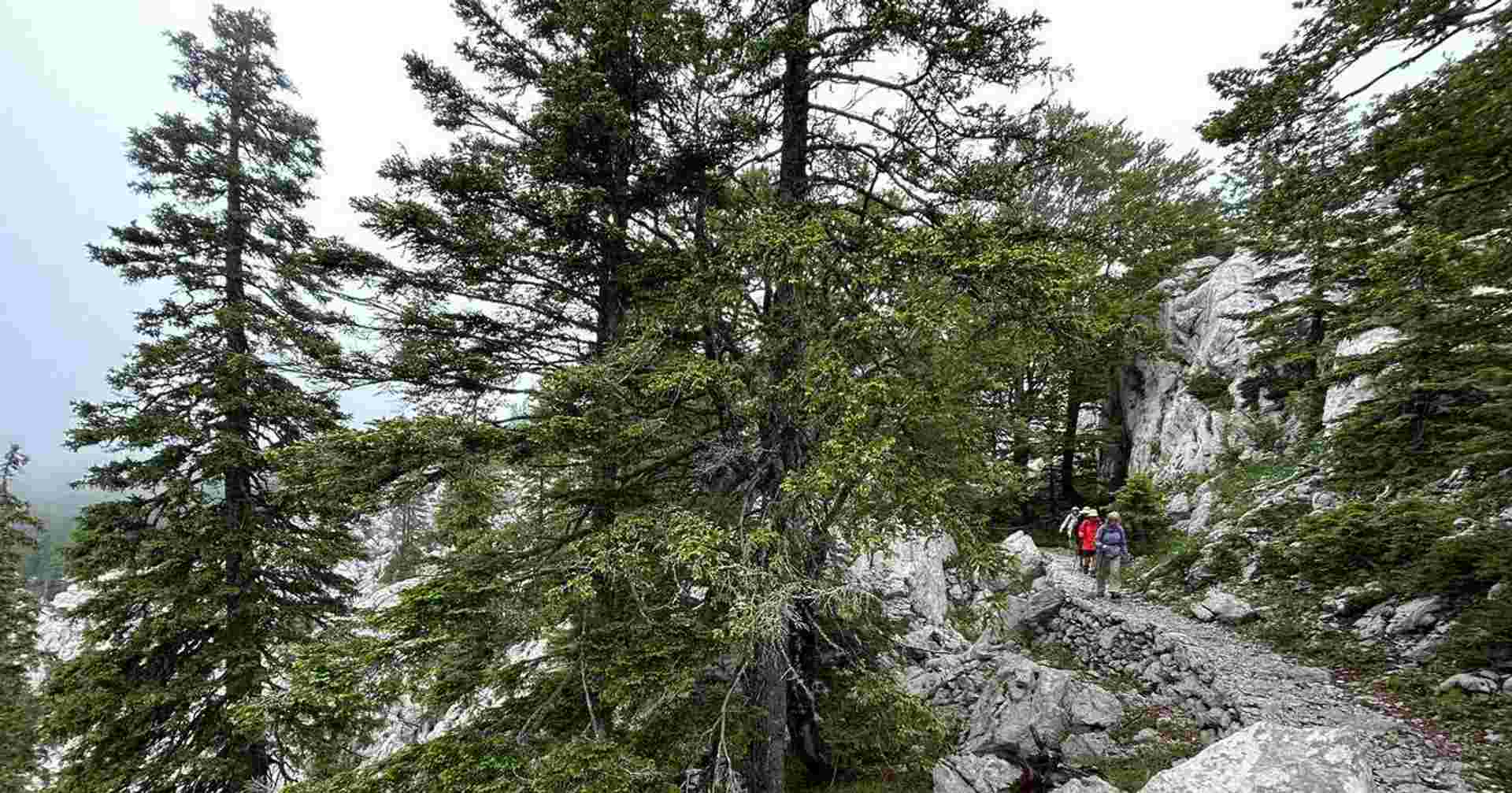 Walks and Coastal Towns of Croatia