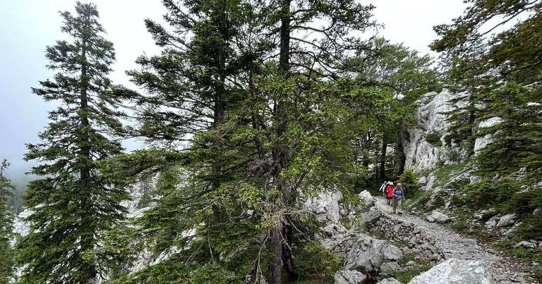 Walks and Coastal Towns of Croatia - 8 days