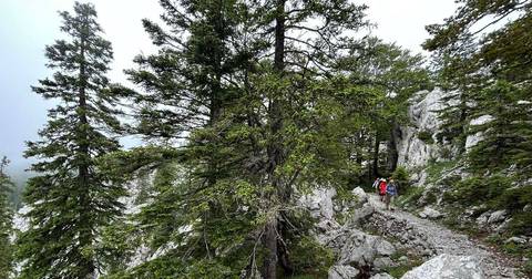 Europe Group Tours: Walks And Coastal Towns Of Croatia