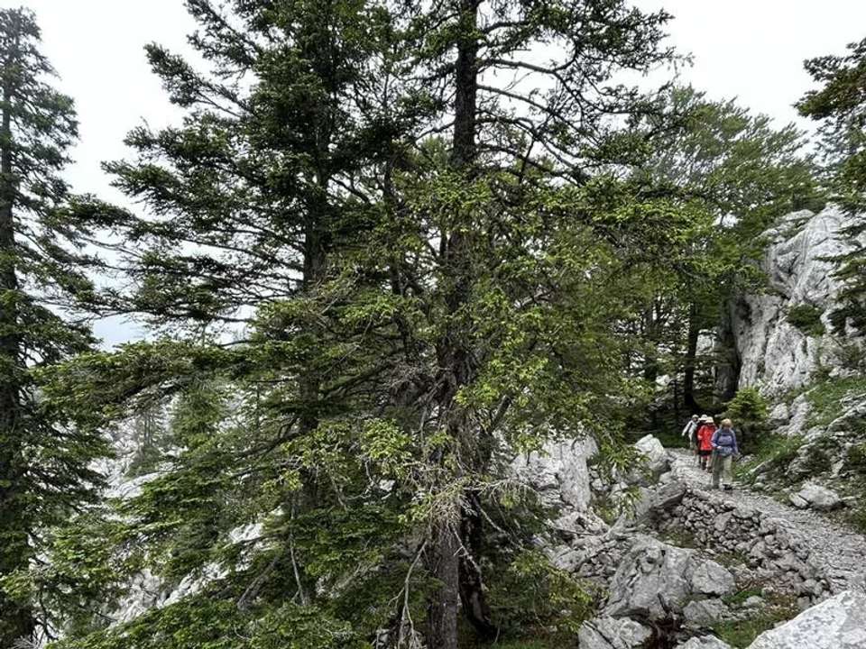 Image 12 of 17