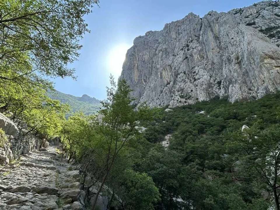 Image 10 of 17