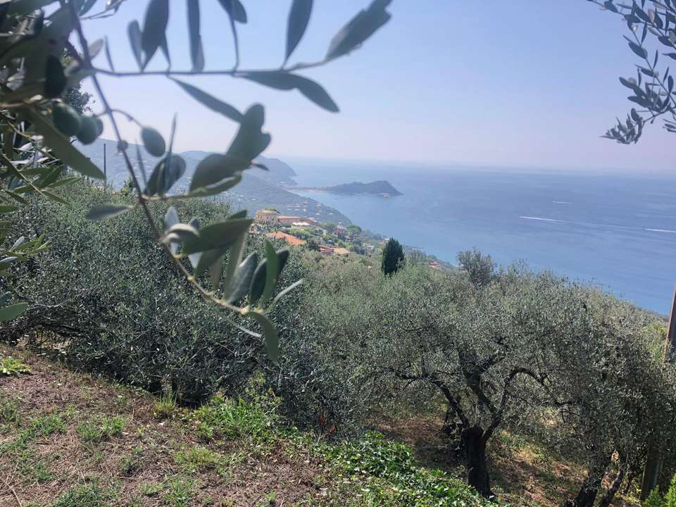 Walks & Food of the Italian Riviera - Exodus Adventure Travels - Italy - Image 13