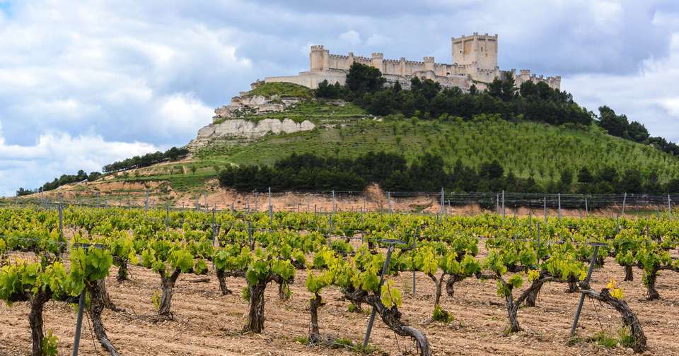 Walks and Wine Tasting in Spain and Portugal - Explore - Spain - Image 12