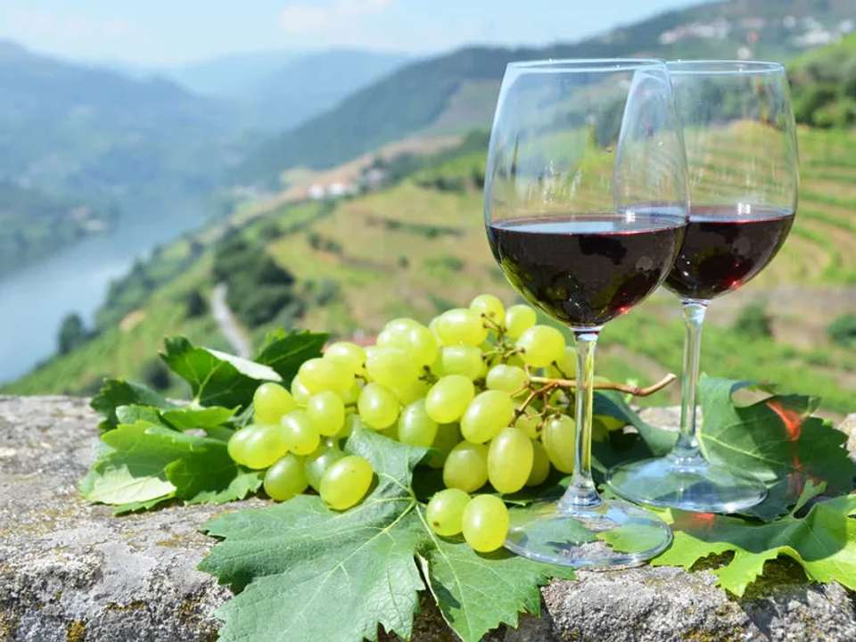 Walks and Wine Tasting in Spain and Portugal - undefined - Image 8