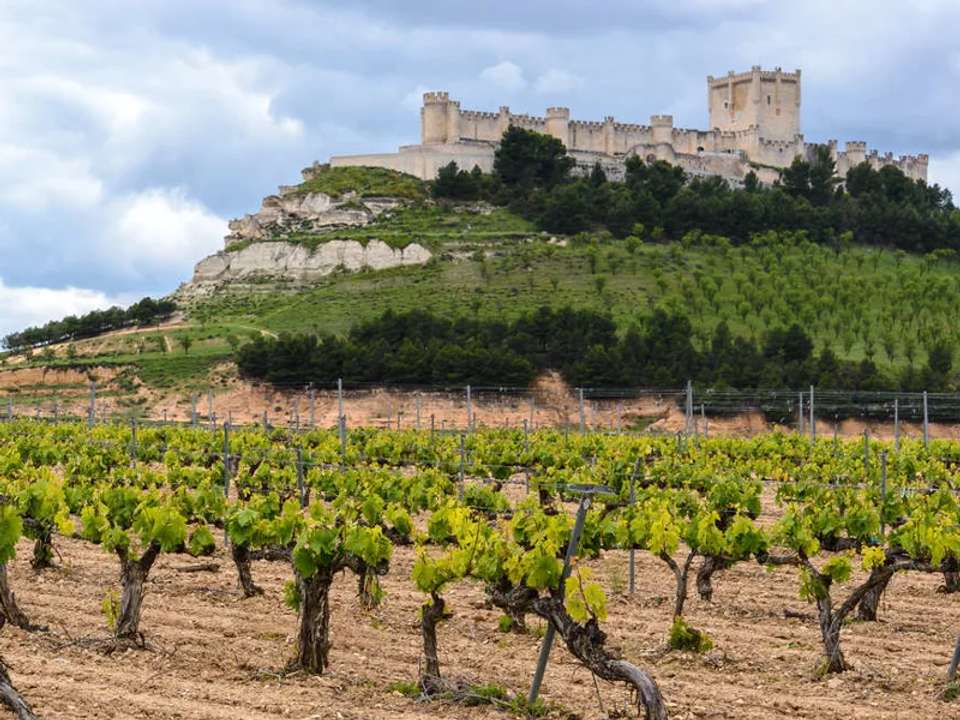 Walks and Wine Tasting in Spain and Portugal - undefined - Image 9