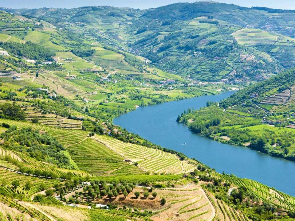 Walks and Wine Tasting in Spain and Portugal - undefined - Image 10