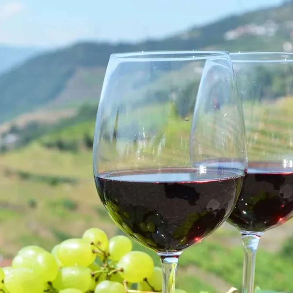 Walks and Wine Tasting in Spain and Portugal - undefined - Image 12